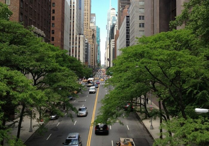 Greening of the city